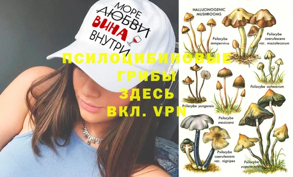 винт Бронницы