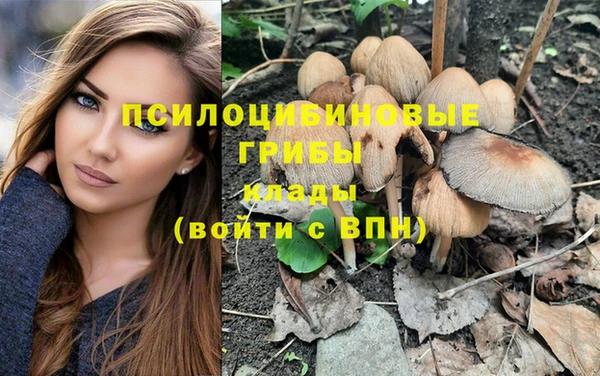 ALPHA-PVP Верхний Тагил