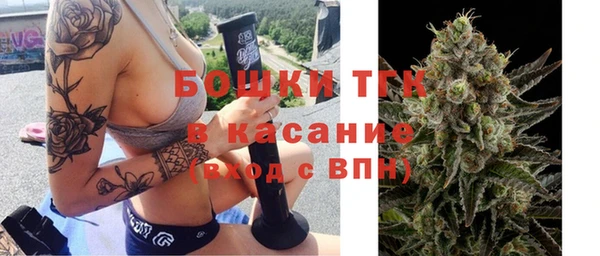 PSILOCYBIN Бугульма