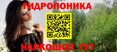крисы Славянск-на-Кубани