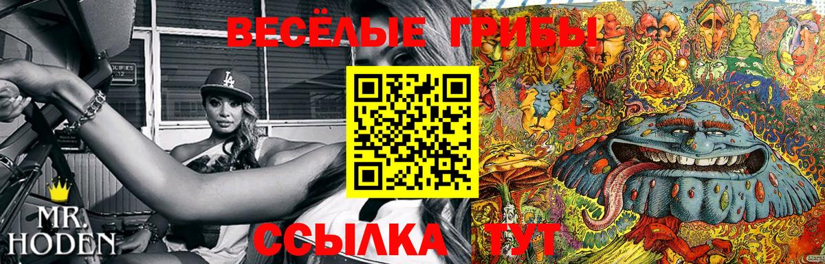 Галлюциногенные грибы Cubensis Среднеуральск