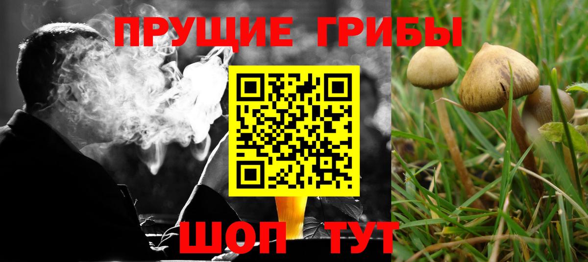 Псилоцибиновые грибы Psilocybine cubensis  Галлюциногенные грибы прущие грибы  Среднеуральск  Вход с VPN 